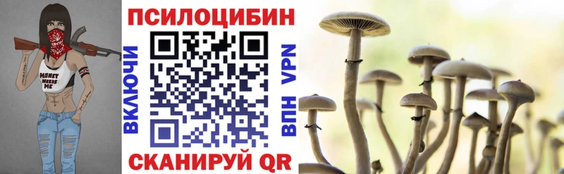 Псилоцибиновые грибы Psilocybe  Сычёвка 